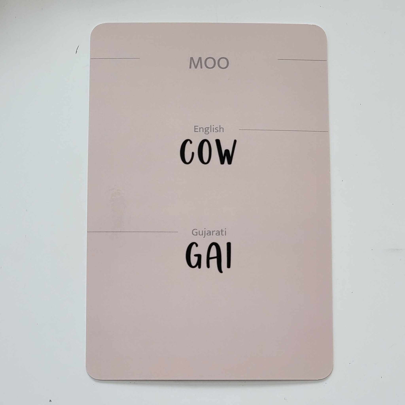 Gujarati-English Flash Cards Bundle