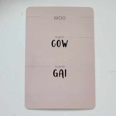 Gujarati-English Flash Cards Bundle