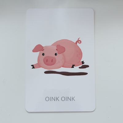 Hindi-English Flash Cards Bundle