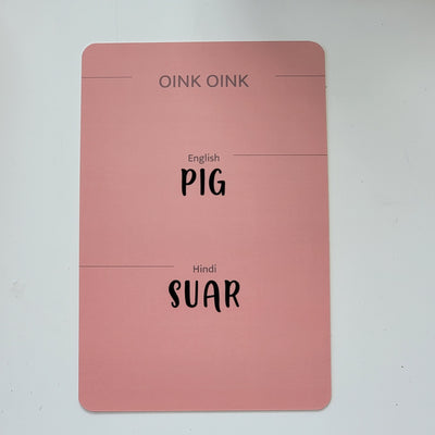 Hindi-English Flash Cards Bundle