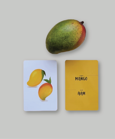 Hindi-English Flash Cards Bundle