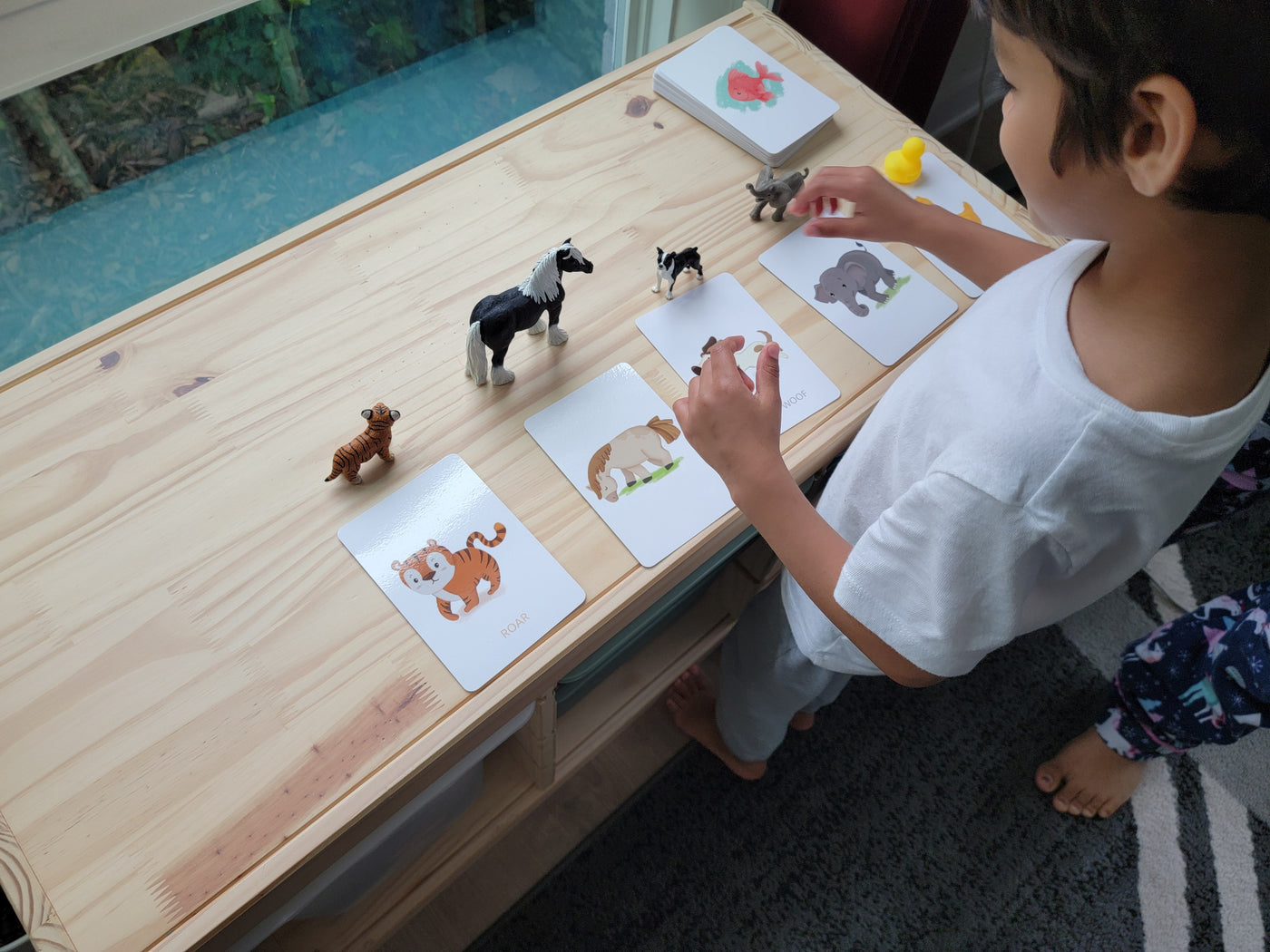 Gujarati-English Animals Flash Cards