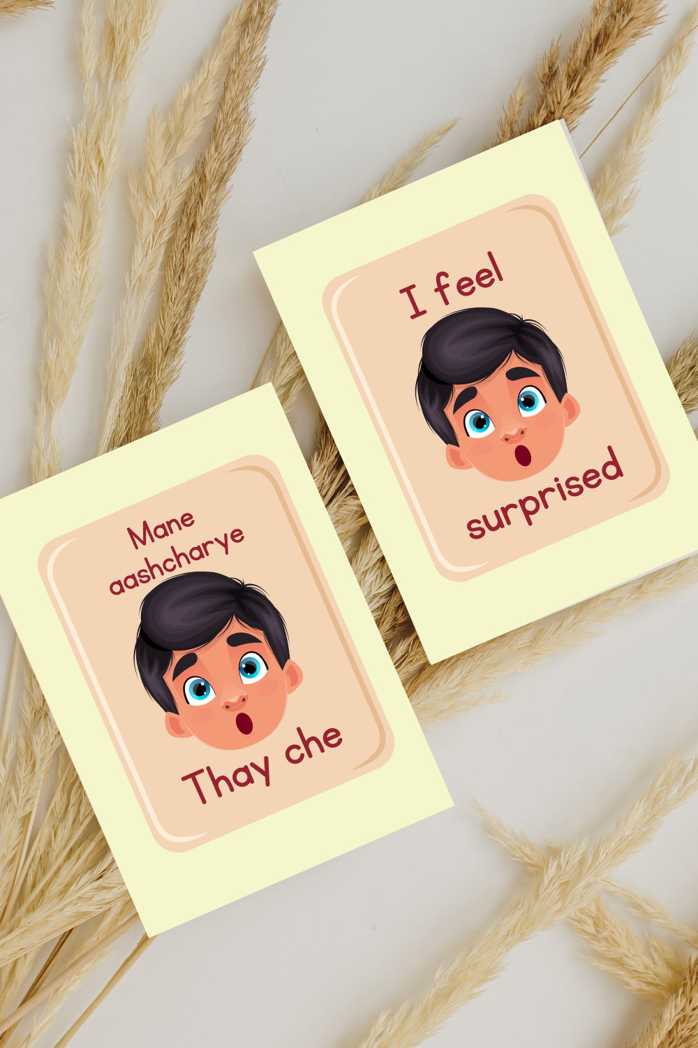 English-Gujarati Emotion Flash cards
