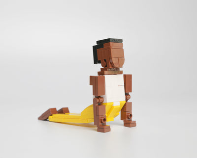 Yoga Asanas Building Blocks Set