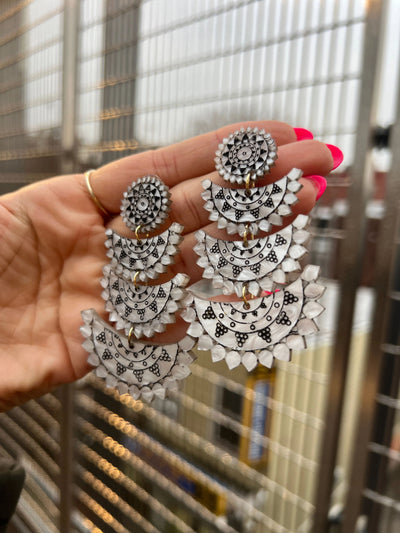 Chandni's