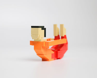 Yoga Asanas Building Blocks Set