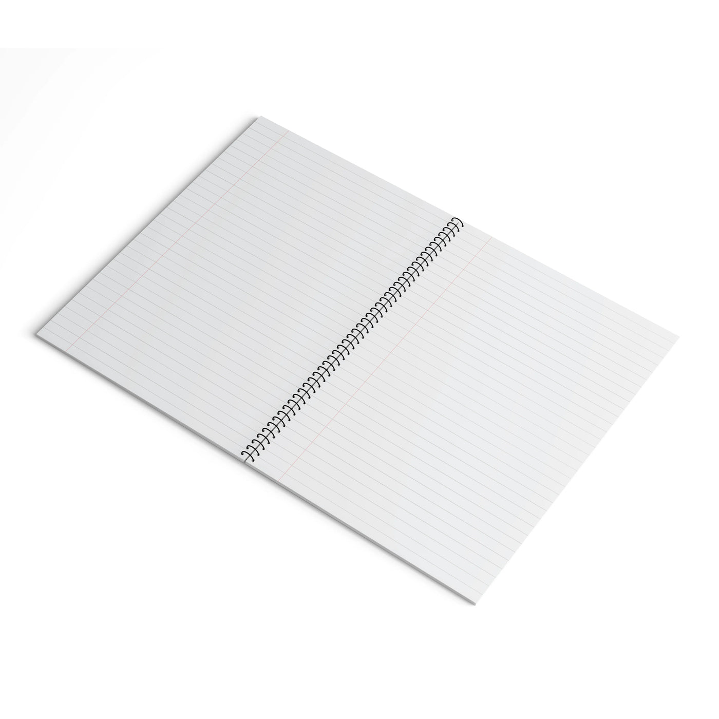 Desi Louboutins Notebook