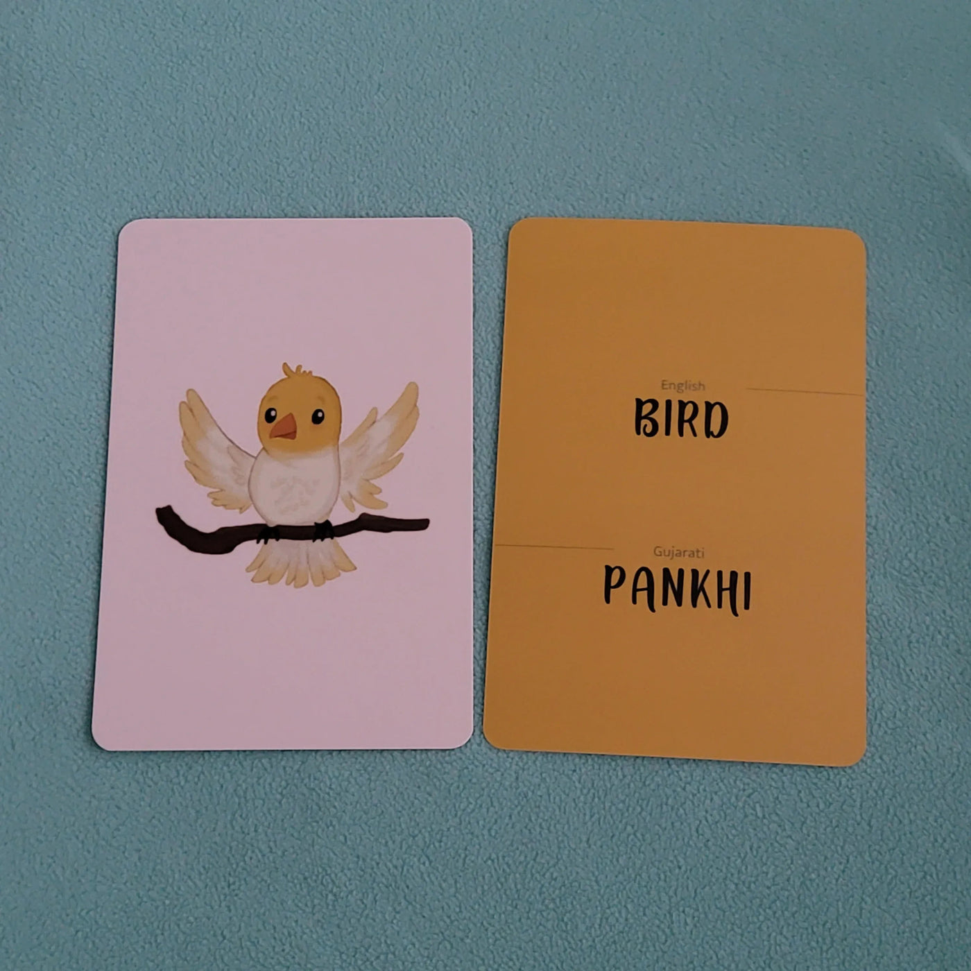 Gujarati- English (Animals) Flash Cards