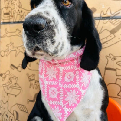 Chikankari Pet bandana and bowtie